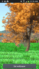 S4zy6MpaGJ4WBOJ99AJxk6CMkUoZQWgSVNZXmMR_DAPqFq1NZnnzzyl2IIaKx-HIqg=h230