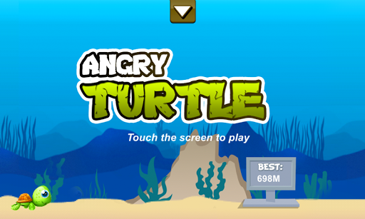 Angry Turtle