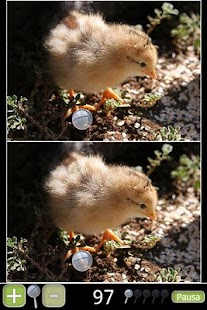 Free Cuccioli/Paranoid Differences APK for Android