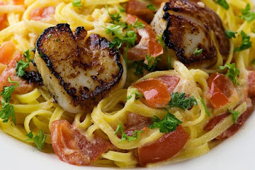 Seared Scallops with Tomato Cream Sauce