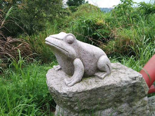 石蛙石