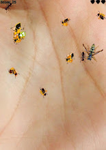 Ant Killer by Tolan APK