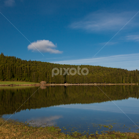 Pond by Rui Medeiros - Landscapes Waterscapes