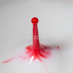 A drop of pink milk by Michael Duncan - Abstract Water Drops & Splashes