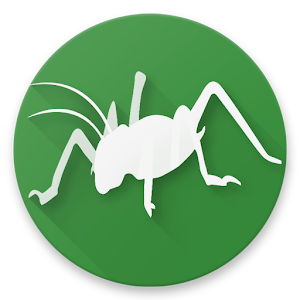 Bugs of New Zealand Varies with device