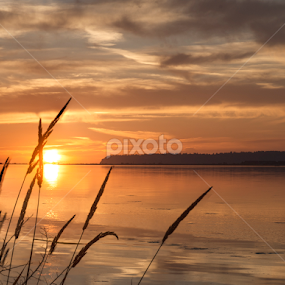 Summer Sunset by Clement Stevens - Landscapes Sunsets & Sunrises