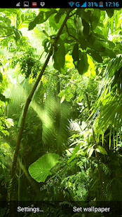 Lastest Jungle Live Wallpaper APK