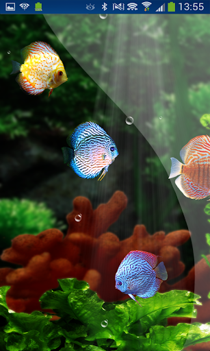 免費下載個人化APP|Fish Aquarium HD LWP Discus app開箱文|APP開箱王