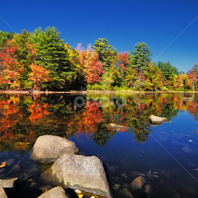 Fall Reflections II by Michael Otter - Landscapes Waterscapes