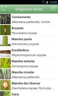 Diagnoses - Arroz Irrigado Screenshots 0