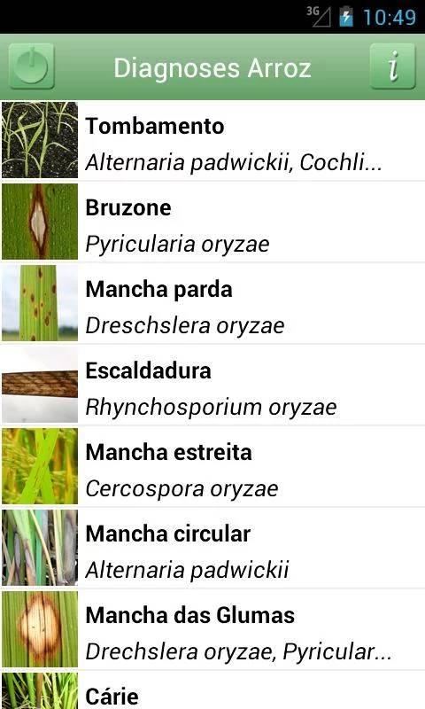 Android application Diagnoses - Arroz Irrigado screenshort