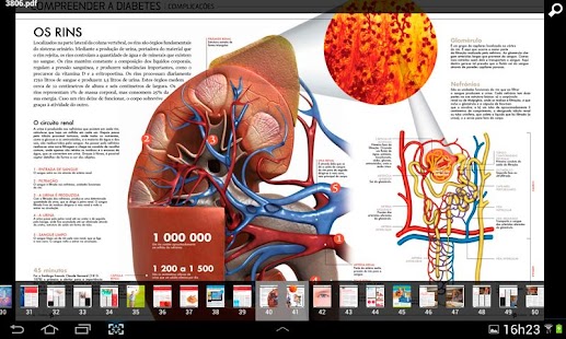 Diabetes - Viver em Equilíbrio Screenshots 6