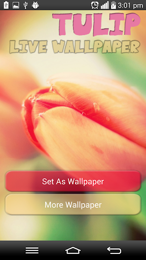 Tulip Live Wallpaper