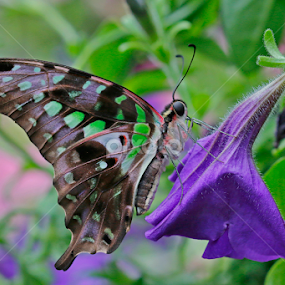 by Paul Wyman - Uncategorized All Uncategorized