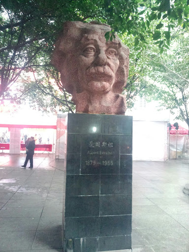 爱因斯坦大脑阔红石雕像