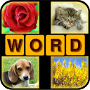 4 Pics 1 Word - Saga mobile app icon