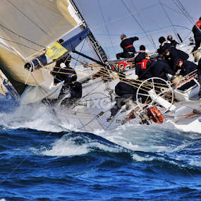 Barcolana by Marco Poli - Sports & Fitness Other Sports