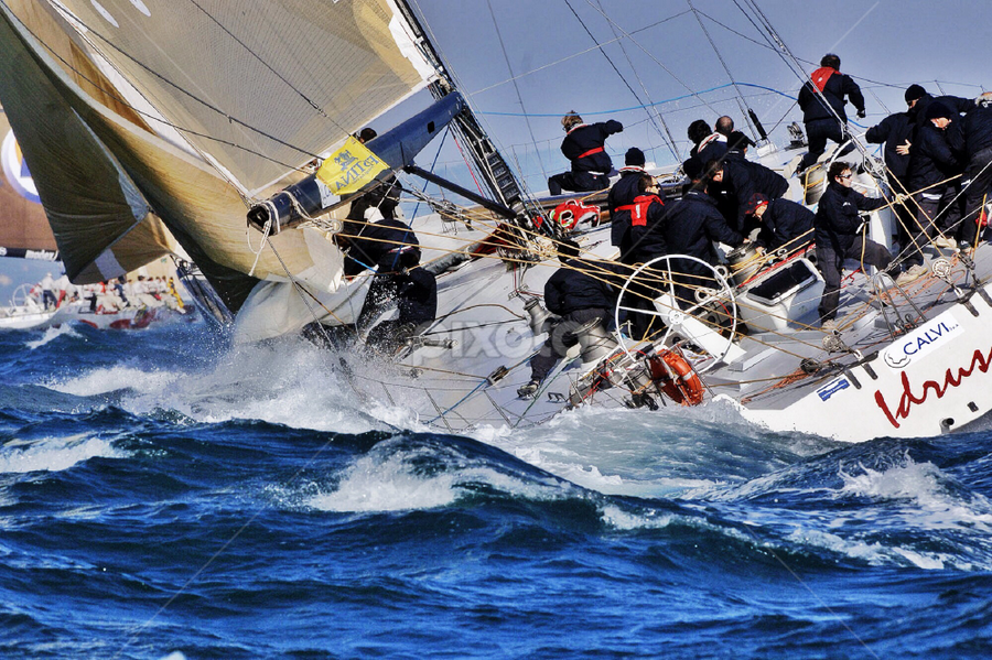 Barcolana by Marco Poli - Sports & Fitness Other Sports