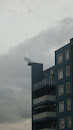 Seagull on the Roof