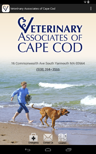 Cape Cod Veterinary Associates