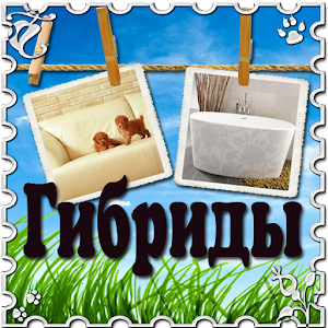 2 Фото - Гибрид 2.6