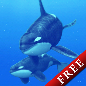 Cetacea Trial 1.0.0