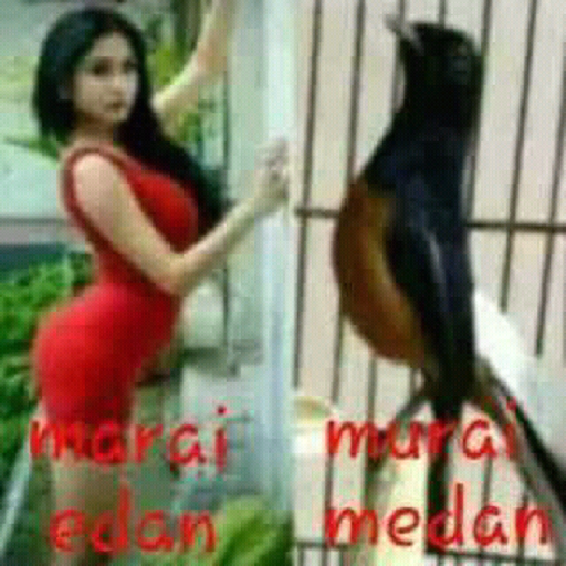 DP BBM LUCU ALAY 1 - Google Play Store revenue &amp; download ...