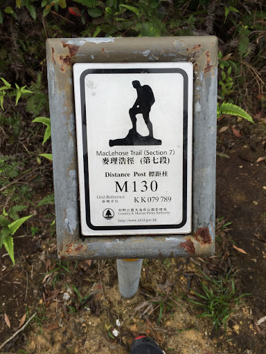 MacLehose Trail Section7 (M130)