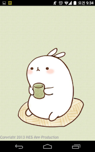 download 카카오톡 Molang테마 free