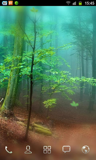 Forest Live Wallpaper 3D