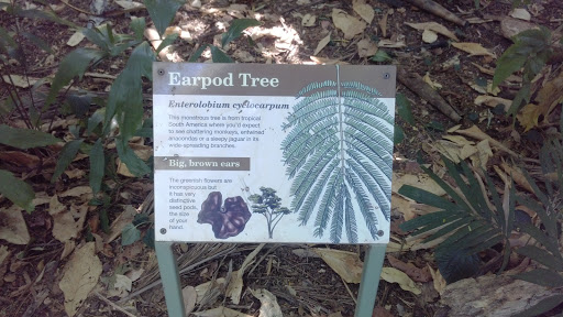 Earpod Tree 