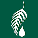 Melaleuca icon
