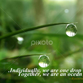 by SHAMEEM ET - Typography Quotes & Sentences