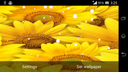 免費下載個人化APP|Sunflower live wallpaper app開箱文|APP開箱王