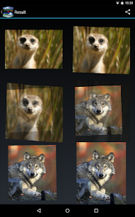 Daikonaka ImageFuse Screenshots 12