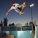 Skateboard boy: FREE logo