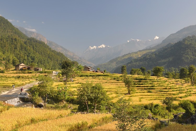 Manaslu Trek