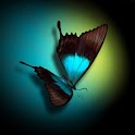 Butterfly Theme HD logo