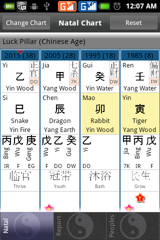 Bazi Pro (Chinese Astrology) Screen 3