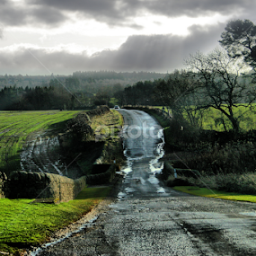 by BethSheba Ashe - Landscapes Prairies, Meadows & Fields