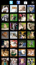 Tile Puzzle: Cute Kittens poster 2