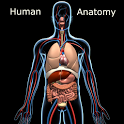 Human Anatomy icon