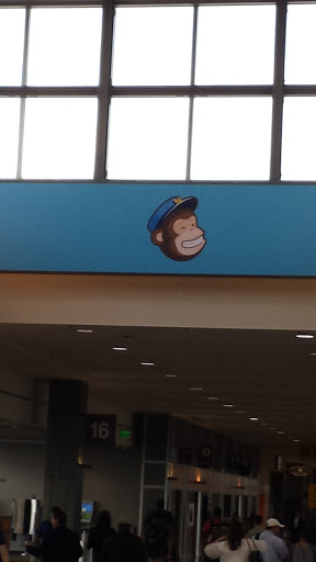 Austin Airport Monkey