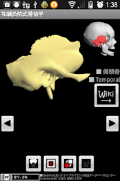 Skeletology (Nagomi) 2D poster 15