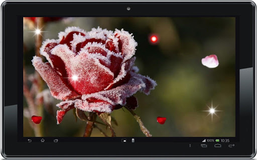 免費下載個人化APP|Winter Flower live wallpaper app開箱文|APP開箱王