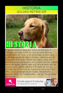 GOLDEN RETRIEVER Screenshots 6
