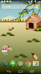 download Pugzie Cute Pug Live Wallpaper free