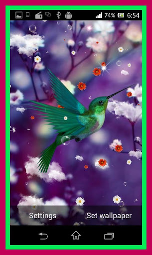 免費下載個人化APP|Humming Bird Live Wallpaper app開箱文|APP開箱王