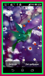 Humming Bird Live Wallpaper poster 9