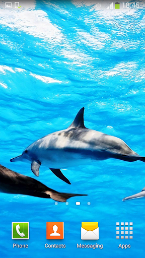 Dolphins Live Wallpaper